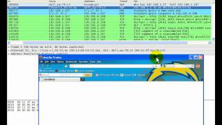 TCP/IP Lesson: Subnet Mask, ARP and DNS Part 2