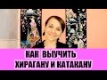 Как выучить хирагану и катакану быстро и эффективно? Мой опыт. JLPT N5