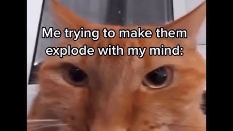 5-1 || In the Wake of Poseidon P% || 1:35.551 || ULTRAKILL