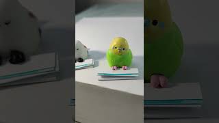 Chubby Bird Omikuji ことりおみくじ ちゅん!#japanesecapsuletoys #toys #capsuletoy #gachapon #gacha #ガチャガチャ
