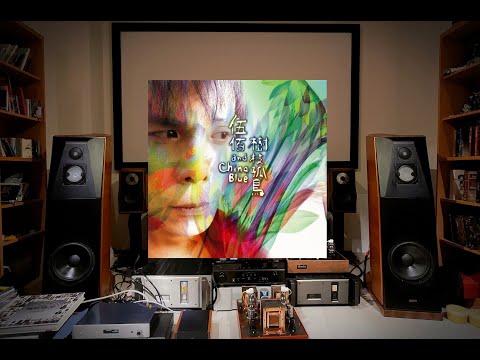 伍佰/ 漂浪  /專輯：樹枝孤鳥/曲目：3