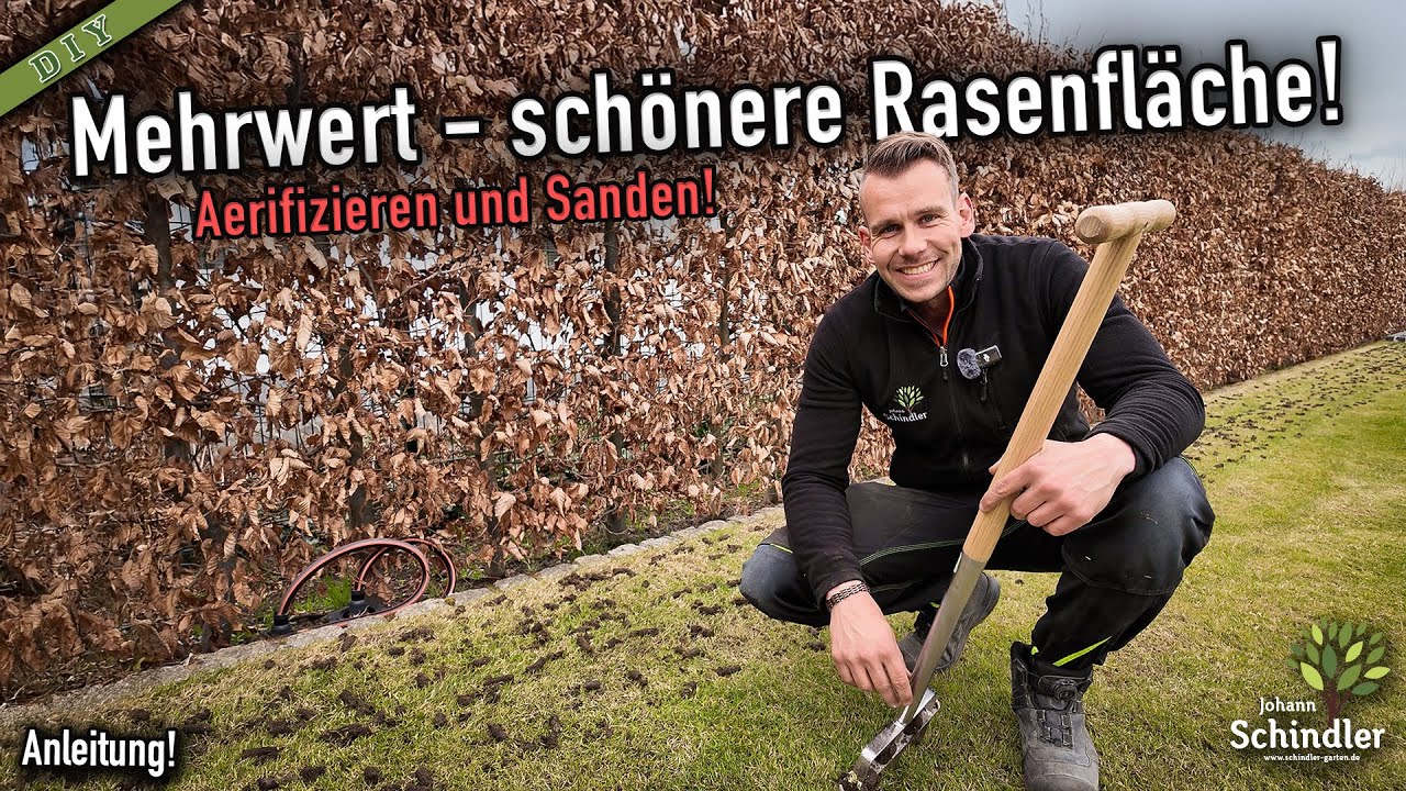 Rasenpflege im Frühjahr - so effektiv/günstig ist Aerifizieren und Sanden [Anleitung]