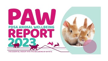 2023 PDSA Animal Wellbeing (PAW) Report | Key Findings About Rabbits