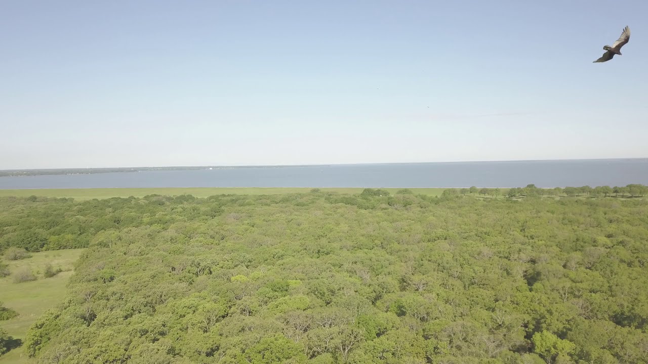 Lake Tawakoni east view YouTube