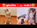 Funny animals mind voice tamil part 4