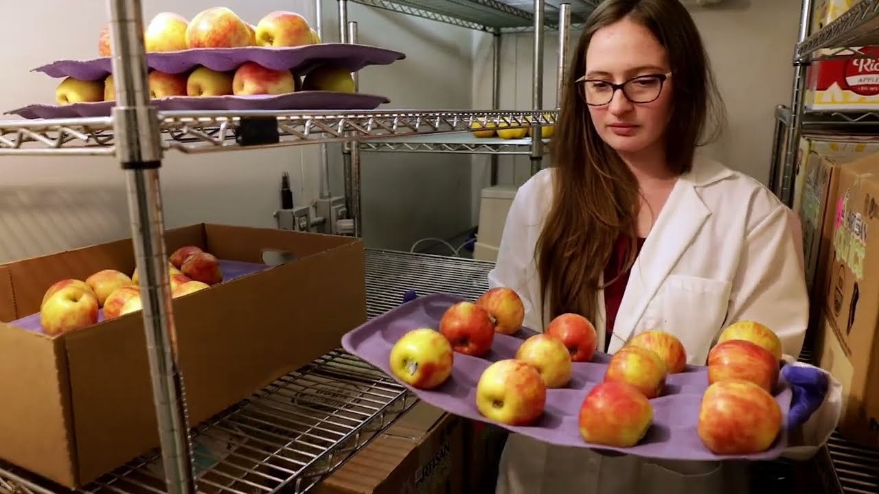 Keeping Fruit from Getting the Blues