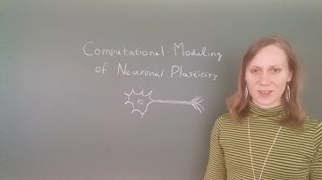 Computational Modeling of Neuronal Plasticity: Introduction