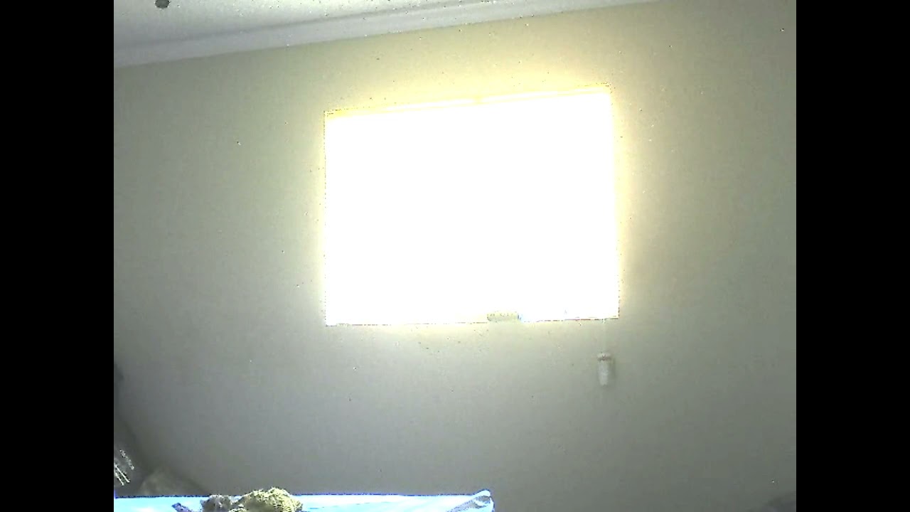 Double Dragon Web Cam Season 1 and 2 Reviews