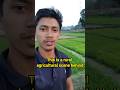 A rural agricultural scene | English speaking