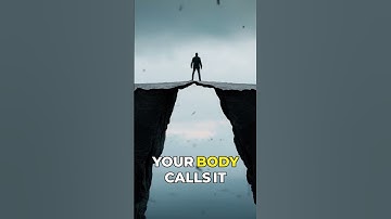 Understanding the Freeze Response: You