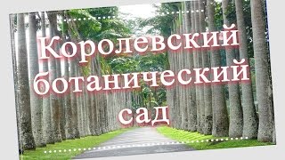 видео Королевский ботанический сад Шри Ланки