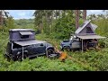 Wild Truck Camping - A Rainy Night in a Bracken Jungle