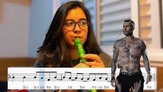 Payphone (Maroon 5) - Cover, Flauta Doce com NOTAS