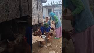 Komşum Yumurta Almaya Geldi̇