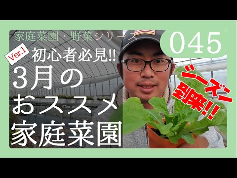 【初心者必見!!】誰でもできる簡単プランター家庭菜園　3月おすすめ野菜紹介とプランターへの植え方・育て方　By園芸チャンネル　045