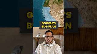 Google launches D-Bug mosquito control project in California #Google #DBug #biotechnology
