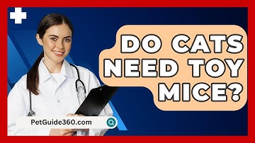 Do Cats Need Toy Mice? - PetGuide360.com
