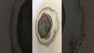 IMG 3440 복사본