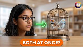 Superposition Explained in 60 Seconds (Most People Get This Wrong)