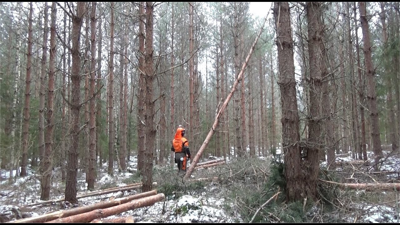 Harvennushakkuu 2021