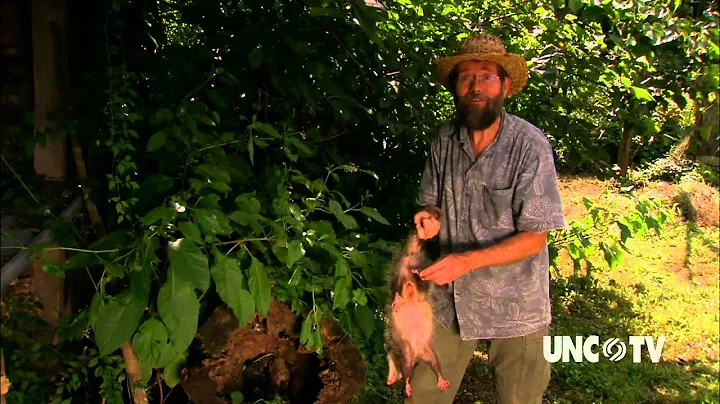 Natural Connections with Doug Elliott