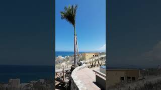 instalacion de palma Real de 8 metros en los barriles