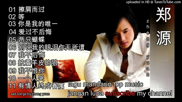 11 lagu mandarin  zheng yuan--part 2