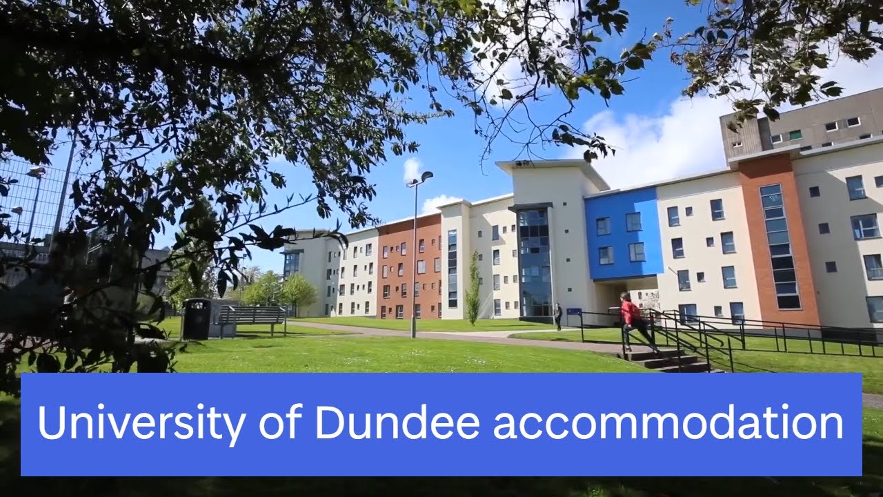 belmont accommodation dundee west
