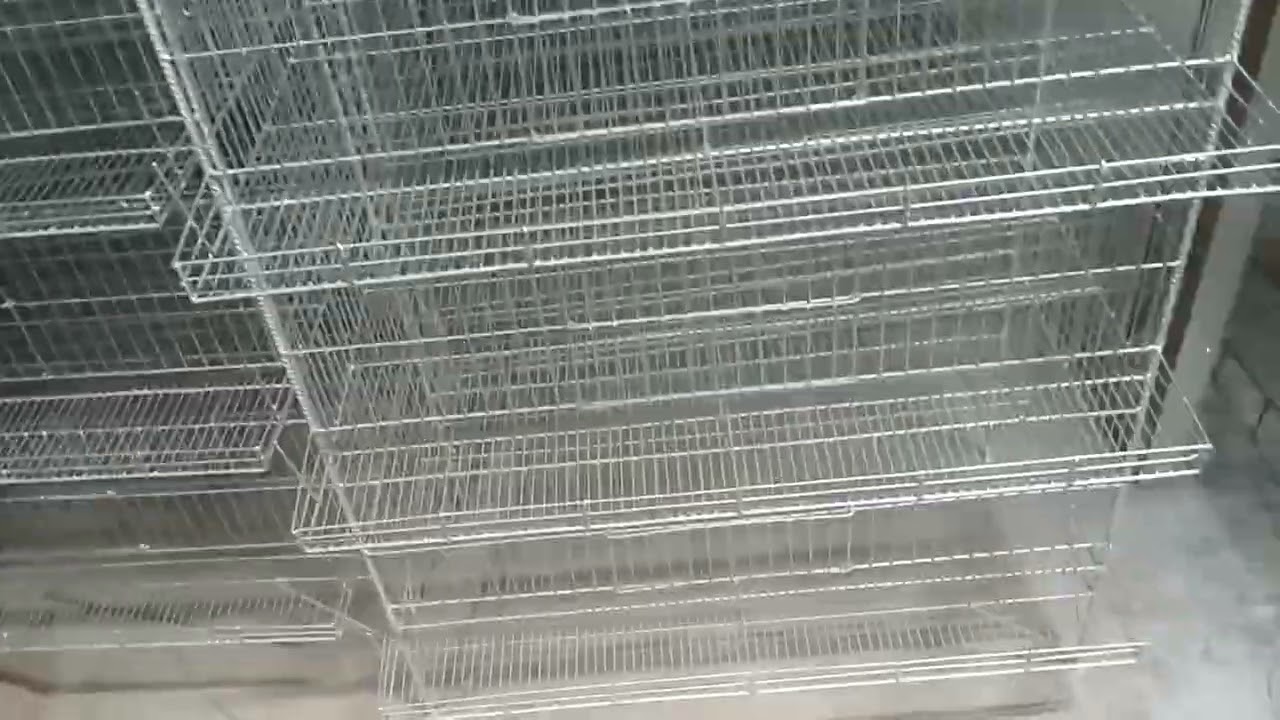 কোয়েল,পাখির,খাঁচা, ৫০,পিছ,থেকে,সুরু,জতপিছের,খাঁচা, চান,এখানে,পাবেন।  01518457965