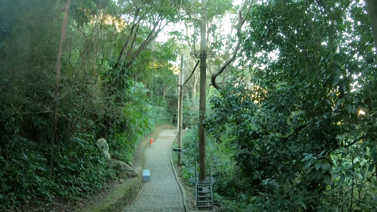 ⁴ᴷ⁶⁰ Прогулка по Рио-де-Жанейро - Бразилия: парк Катакумба