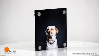 Acrylic Mounting Stand Off
