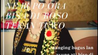 Cover rembulan status wa 30 detik!!!