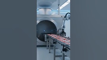 😱 You Won’t Believe How Donkey Meat is Made | Ultra Realistic AI Factory 🐴 #Shorts