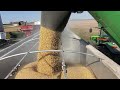 High Speed Harvesting! - #261