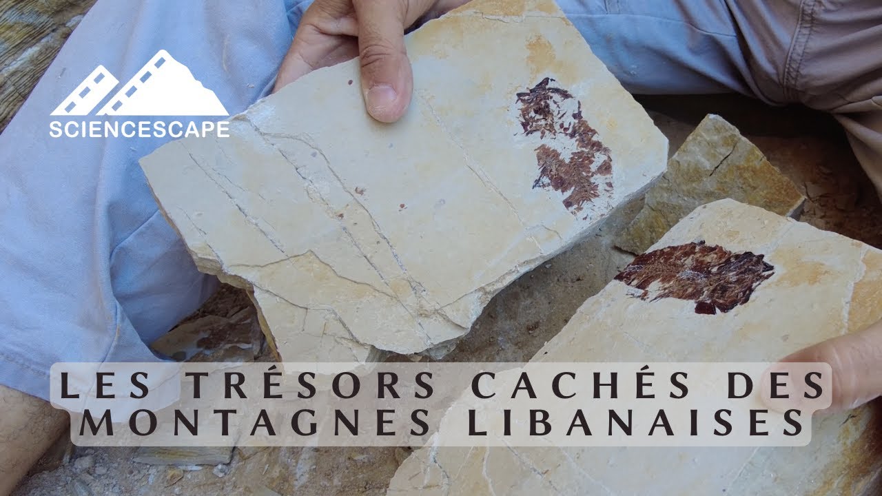 Les trésors cachés des montagnes libanaises