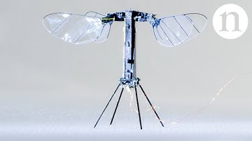 Revolutionizing Pollination: The Incredible World of Robo Bees