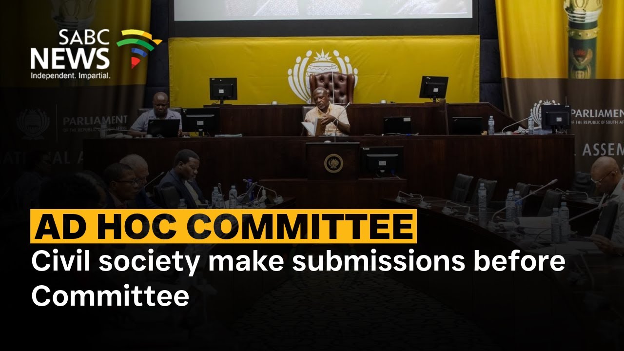 Ad Hoc Committee | Civil society make submissions before Committee ...