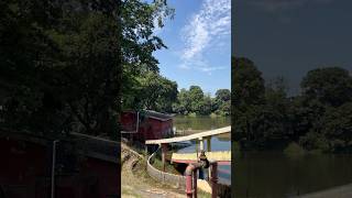 Mere sapno ki rani [Adopt the peace of nature] #ytshorts #nature #youtubeshorts #travelvlog #vibes