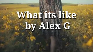 What it's Like - Alex G with Lyrics