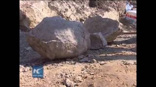 Dinosaur fossils from 100 mln years ago found in NE China