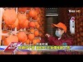 成串紅柿掛庭院 陝西柿鄉成打卡地 中國進行式 20191208