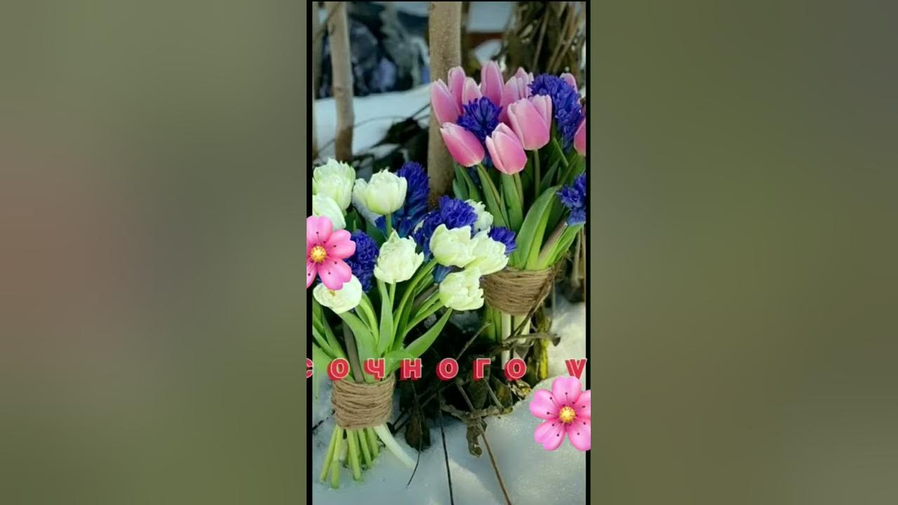 Не болей. Красочного Утра !!! - YouTube
