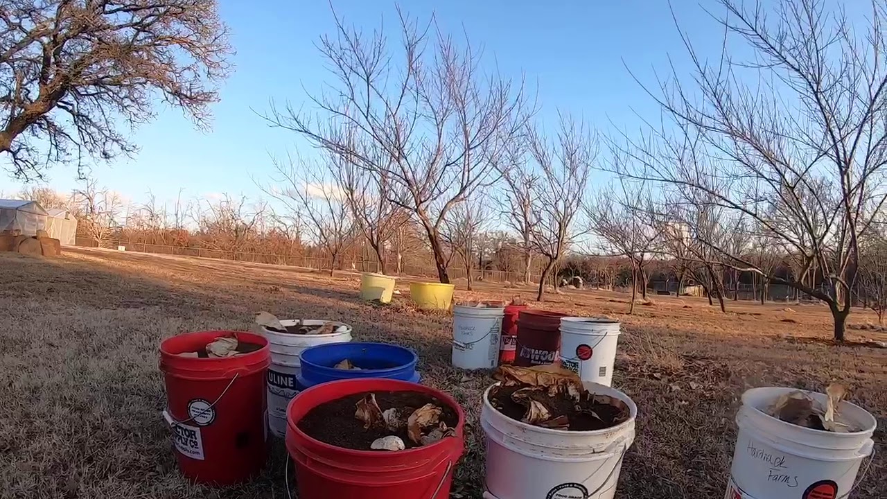 Solar dehydrating in Winter, Using shredded paper, veggie scraps and ...