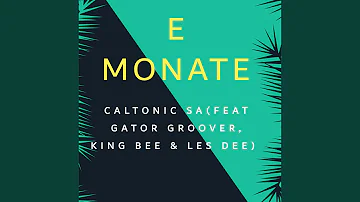 E Monate (feat. Gator Groover, King Bee & Les Dee)