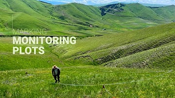 ⛳️ Marking permanent monitoring plots