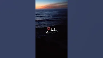 Didin Canon 16 يالبابور يالغالي يا شغلي بالي 