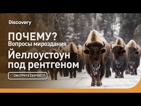 Йеллоустоун под рентгеном | Почему? Вопросы мироздания | Discovery