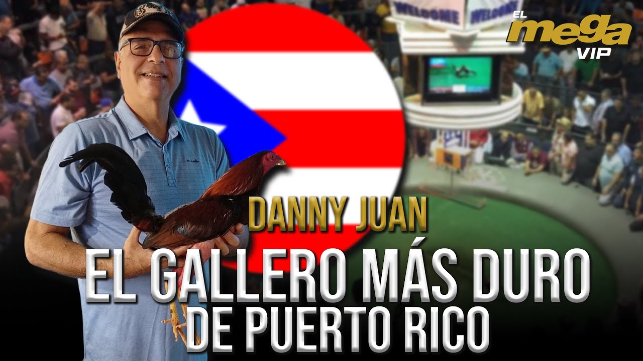 Danny Juan es el GALLERO MÁS DURO de Puerto Rico