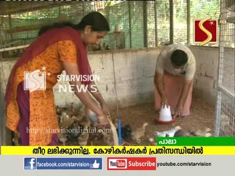 കോഴിത്തീറ്റ ലഭിക്കാതായതോടെ കര്‍ഷകര്‍ ദുരിതത്തില്‍