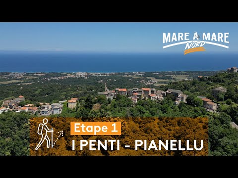 Image du reportage I Penti – Pianellu (1) : Une nature luxuriante ! (France 3 Corse ViaStella)